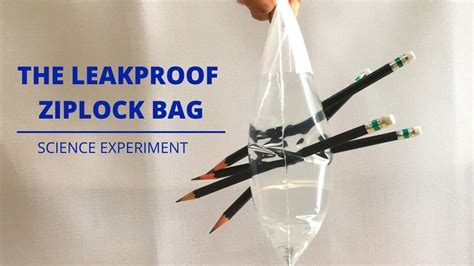 The Leakproof Bag